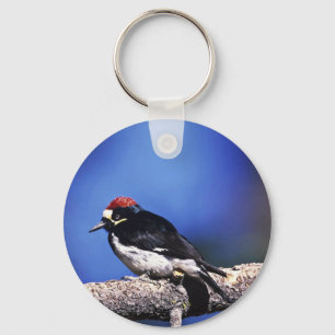 Llavero Acorn Woodpecker