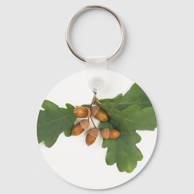 Llavero Acorns (Anverso)