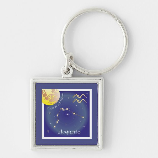 Llavero Acquario 21 gen. al 18 feb. Schlüsselanhänger (Frente)