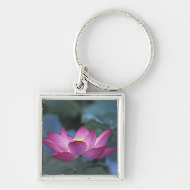 Llavero Actitud de flor de loto rojo y hojas verdes, (Frente)