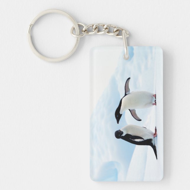 Llavero Adelie Penguins (Frente)