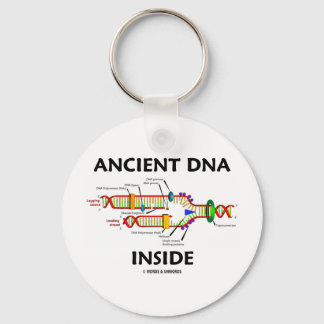 Llavero ADN antiguo interno (Humor de replicación del ADN)