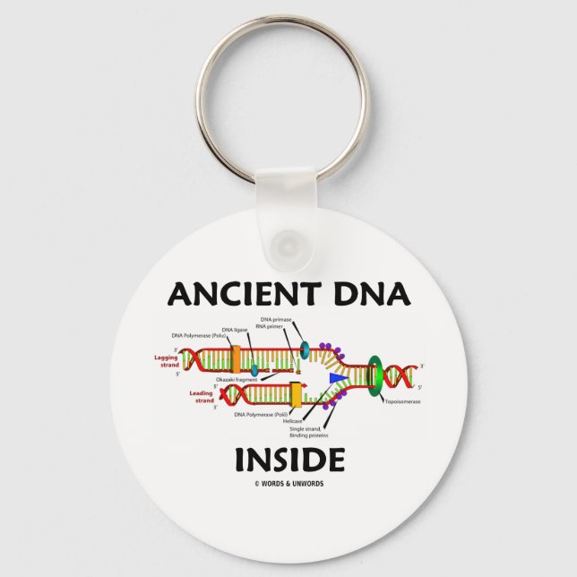 Llavero ADN antiguo interno (Humor de replicación del ADN) (Anverso)