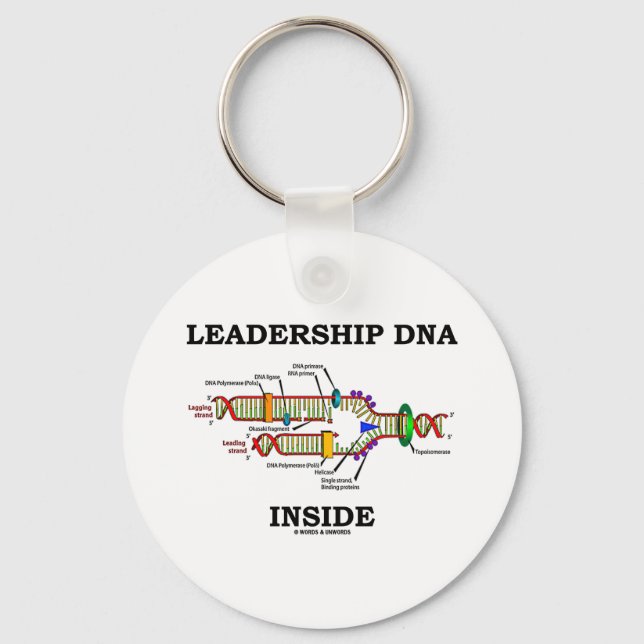 Llavero ADN de liderazgo interno (replicación del ADN) (Anverso)