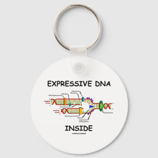 Llavero ADN expresivo interno (replicación del ADN)