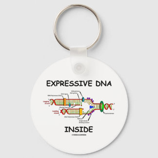 Llavero ADN expresivo interno (replicación del ADN)
