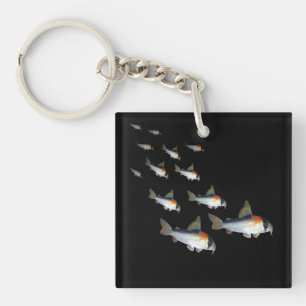Llavero Adolfoi Corydoras Catfish Aquarium Fish Tank Art