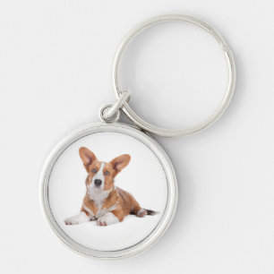 Llavero Adorable Cardigan Welsh Corgi Cachorro Amante de P