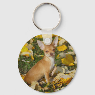 Llavero Adorable Chihuahua Puppy Between Yellow Leaves