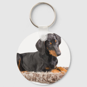 Llavero adorable doberman pinscher