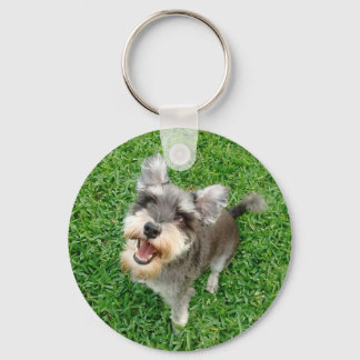 Llavero Adorable Schnauzer en miniatura listo para jugar
