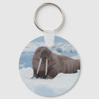 Llavero Adorable Walrus