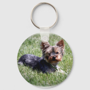 Llavero Adorable Yorkie