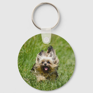 Llavero Adorable Yorkshire Terrier corriendo por la hierba