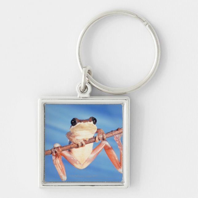 Llavero África (Frente)