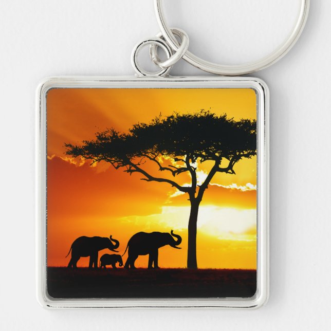 Llavero África 2 Keychain (Frente)
