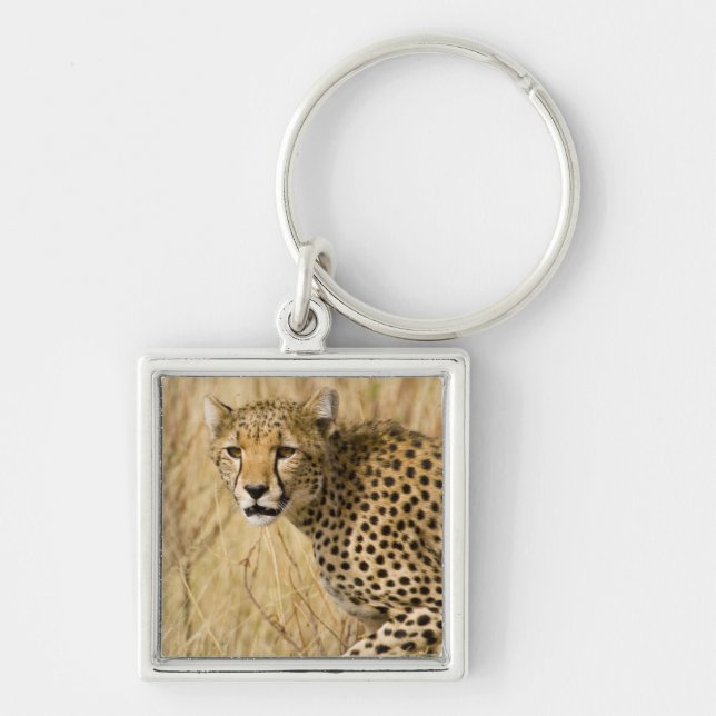 Llavero África. Kenia. Chita en Samburu NP. (Frente)