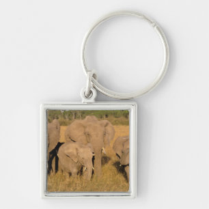 Llavero África, Kenia, Masai Mara. Elefante Africano