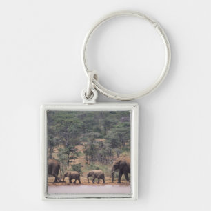Llavero África, Kenia, Nanyuki, Mpala. Africano