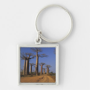 Llavero África, Madagascar, Morondava, Avenida Baobab.