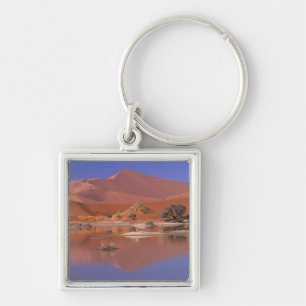 Llavero África, Namibia. Parque Namib-Naukluft. 2