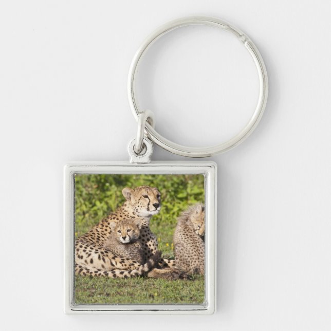 Llavero África. Tanzania. Madre y cachorros chitas 2 (Frente)
