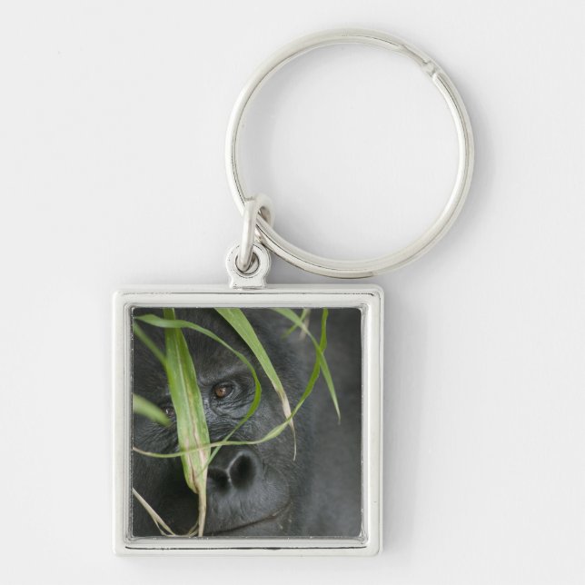 Llavero África, Uganda, Bwindi (Frente)