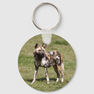Llavero african-wild-dog-015