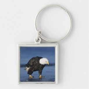 Llavero Águila calva