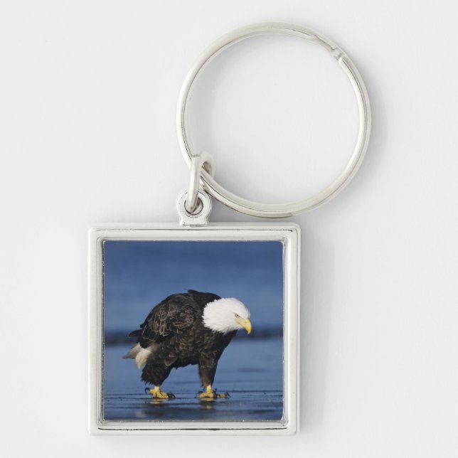 Llavero Águila calva (Frente)
