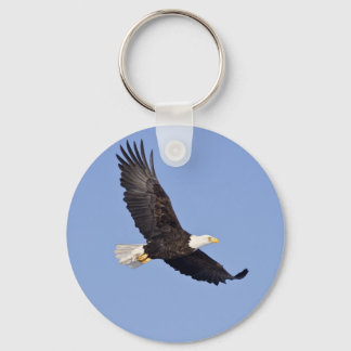 Llavero Águila calva americana