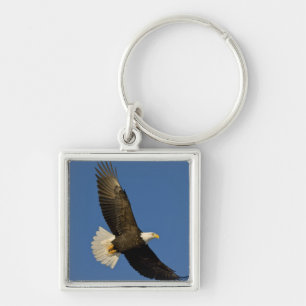 Llavero Águila calva, Haliaeetus leucocephalus, Homer,