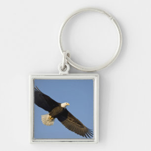 Llavero Águila calva, Haliaeetus leucocephalus, Homer, 4