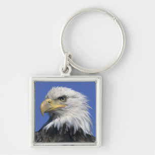Llavero Águila calva, (Haliaeetus leucocephalus), salvaje,