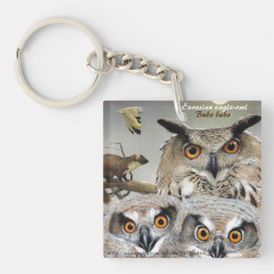Llavero "Aguila euroasiática (Bubo bubo)"