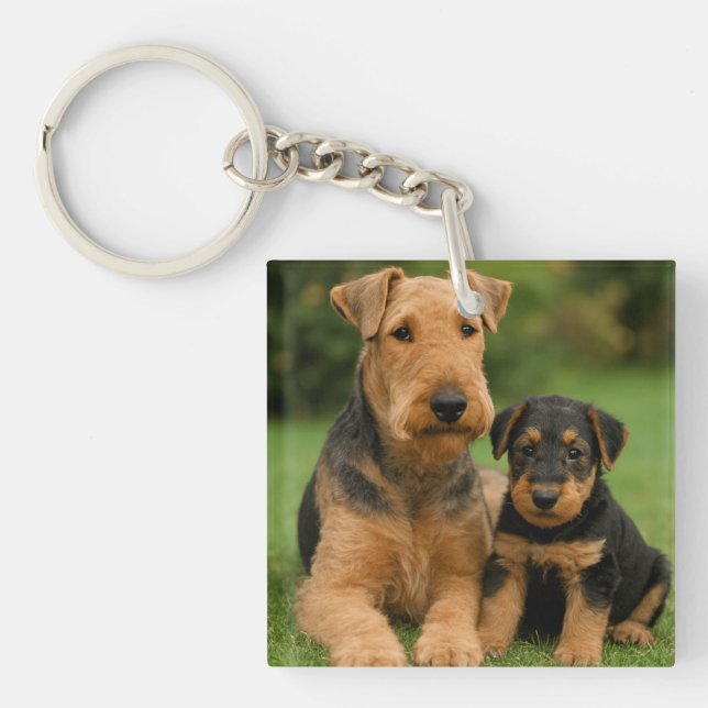 Llavero Airedale Terrier Con Cachorro (Frente)