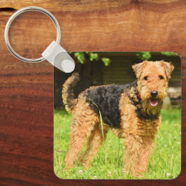 Llavero Airedale Terrier Perro Cachorro