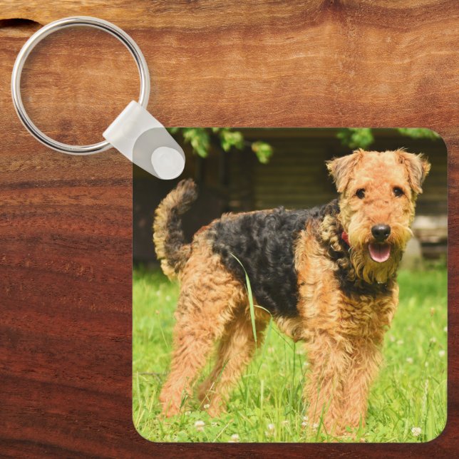 Llavero Airedale Terrier Perro Cachorro (Anverso)
