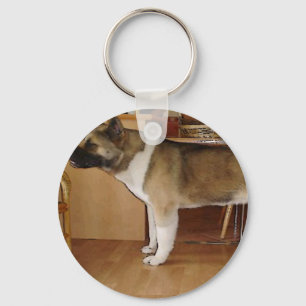 Llavero Akita