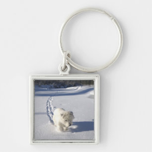 Llavero Alberta, Canadá