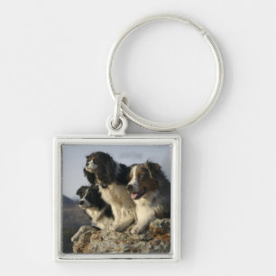 Llavero Alberta, Canadá 2