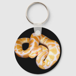 Llavero Albino Ball Python