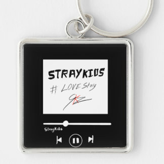Llavero álbum de Skz