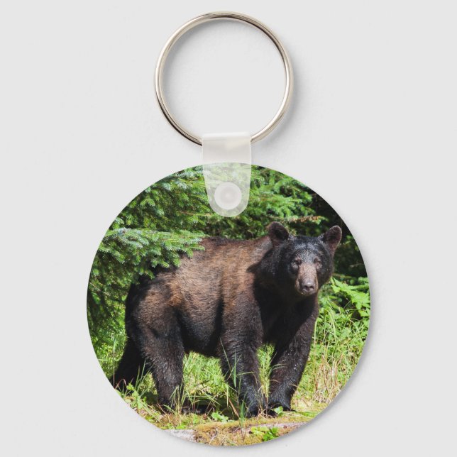 Llavero Alfa Black Bear (Anverso)
