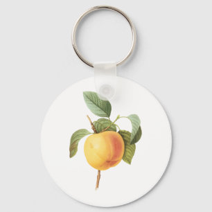 Llavero Alimento de Frutas Antiguas, Manzana Calville por 