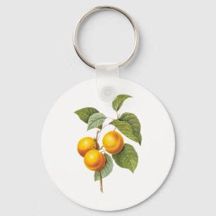 Llavero Alimento vintage fruta, albaricoque melocotón de R