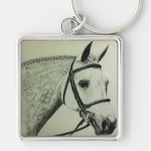 Llavero Aliste para la demostración