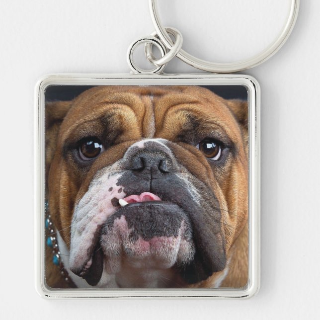 Llavero Almohada de inglés bulldog (Frente)