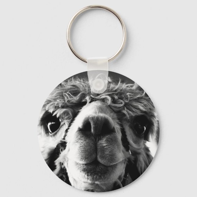 Llavero Alpaca (Anverso)
