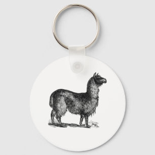 Llavero Alpaca Llama Cute Peru Animal Nature Art